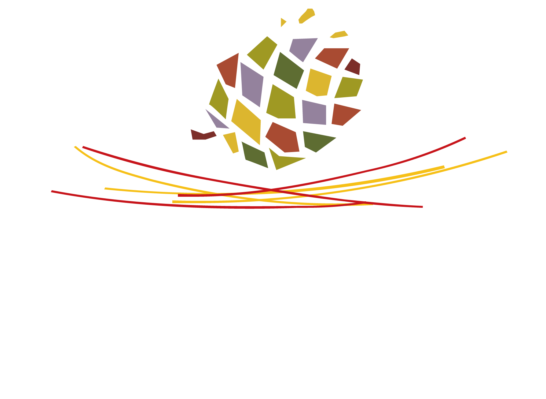 Logotipo de Piñón de España