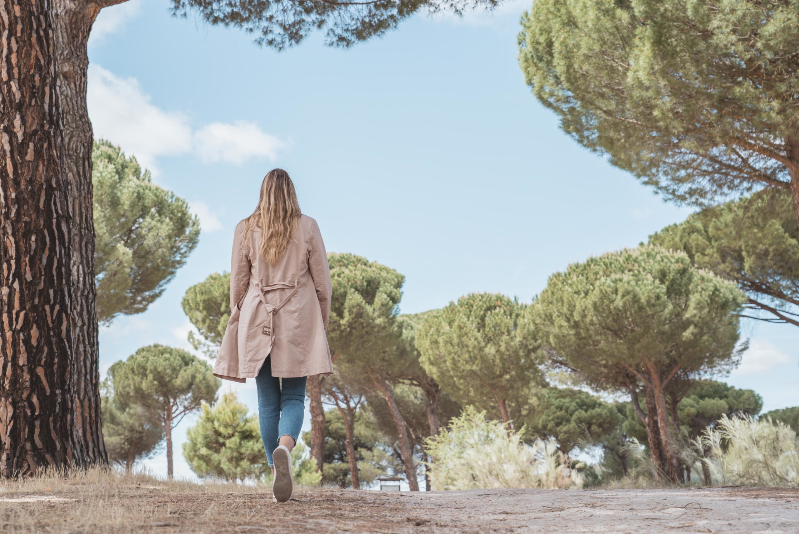 Persona buscando los mejores pinares para Piñones de Castilla