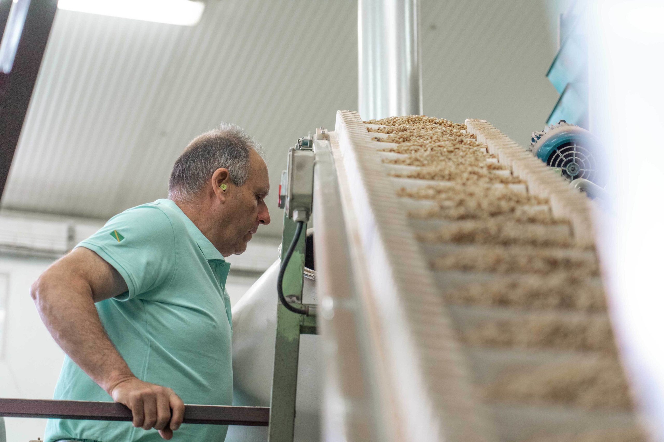 Trabajador en el proceso de envasado de los piñones